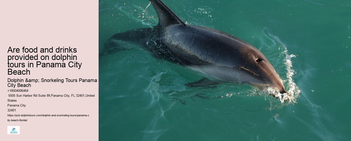 Can You Swim With Dolphins In Panama