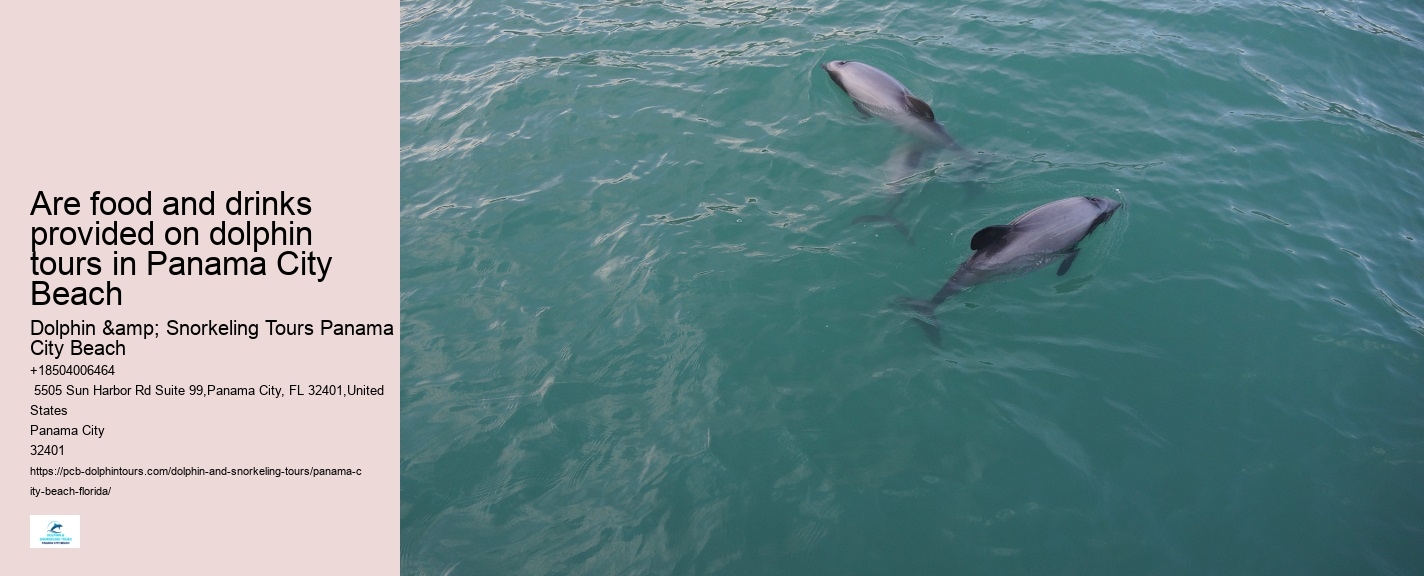 What is the cancellation policy for dolphin tours in Panama City Beach