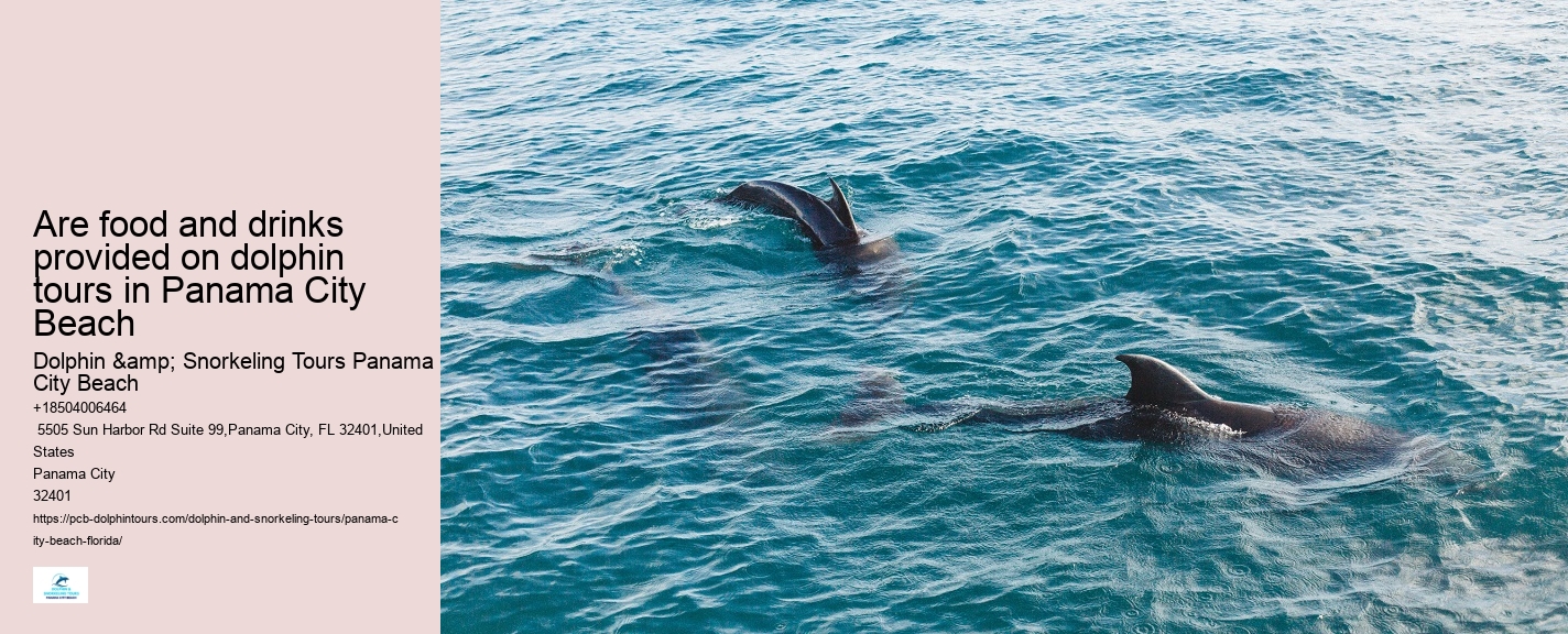 Are Panama City Beach dolphin tours environmentally friendly