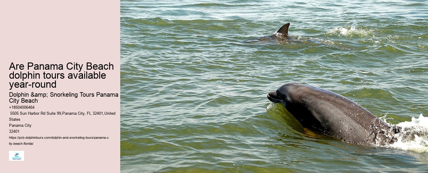 Panama City Beach Private Dolphin Tours