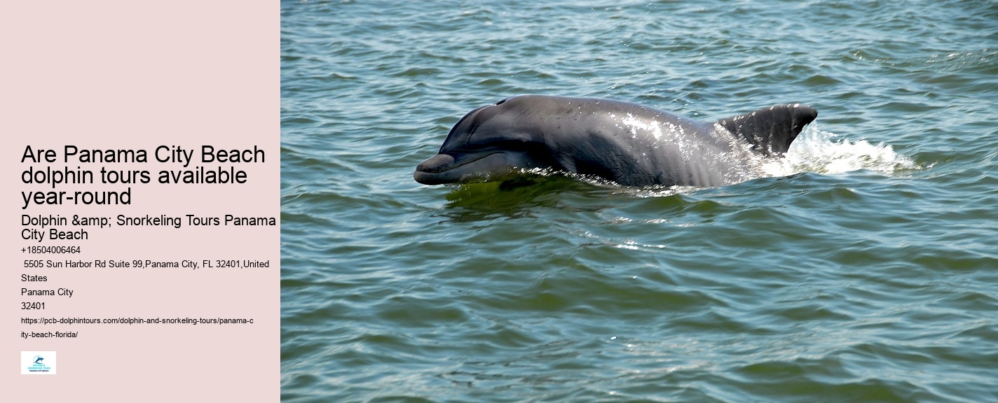 Dolphin And Snorkeling Tours In Panama City Beach