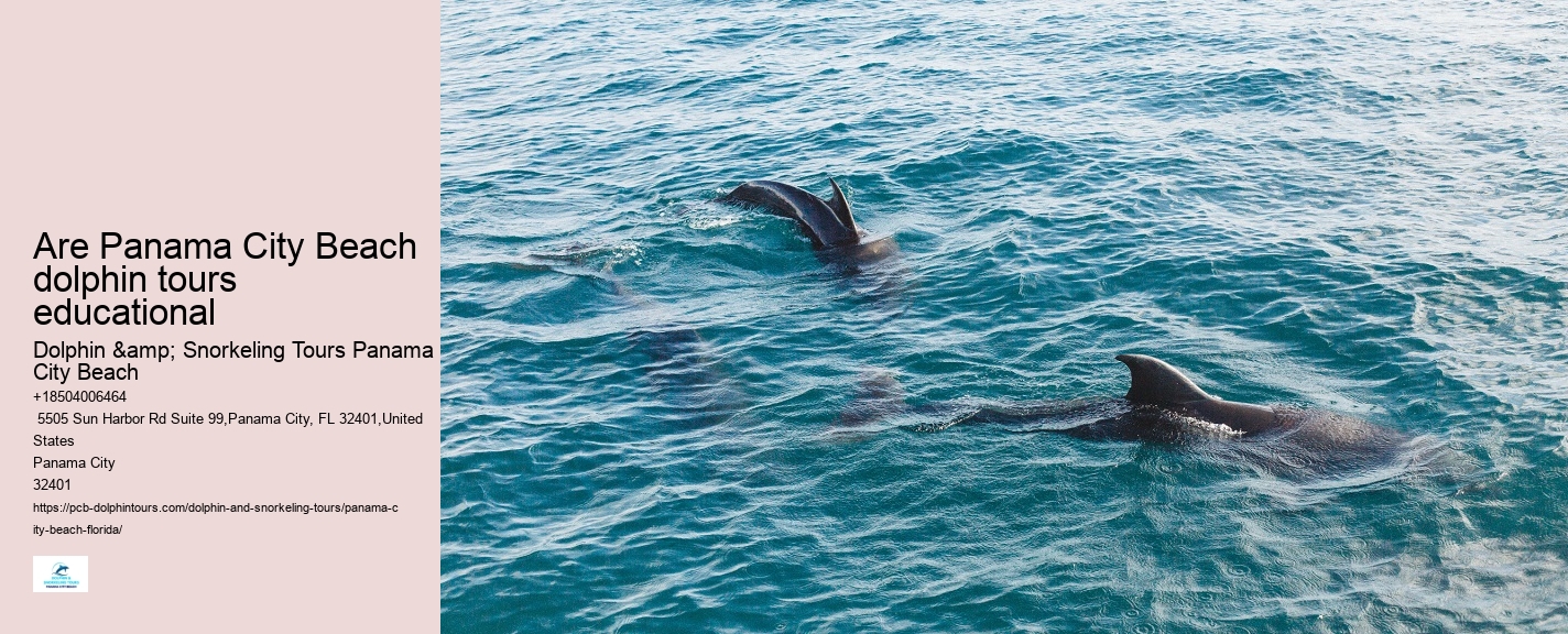 Bottle Nose Dolphin