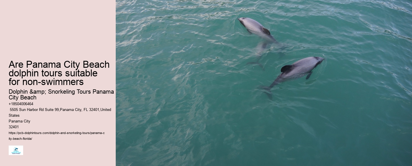 Blue Dolphin Tours Panama City Beach