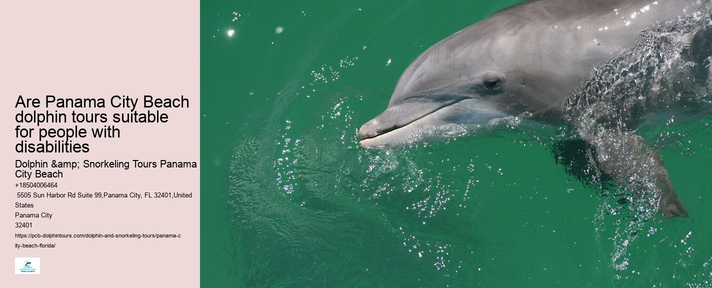 How long is the typical dolphin tour in Panama City Beach