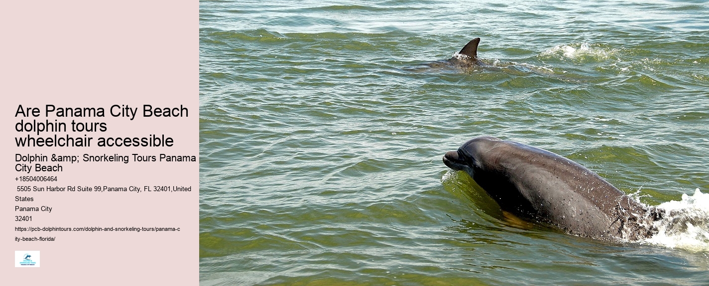 Water Planet Dolphin Swim Tours Panama City Beach Fl