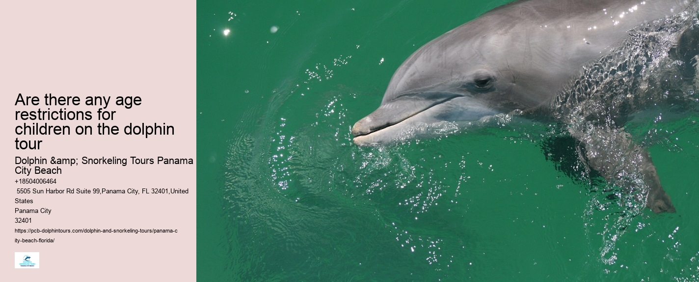 Dolphin Boat Tours PCB