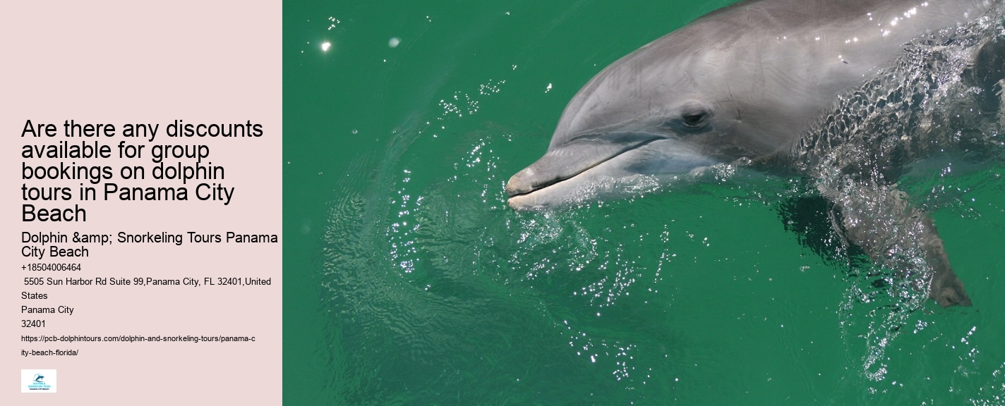 Panama City Beach Florida Boat Tours
