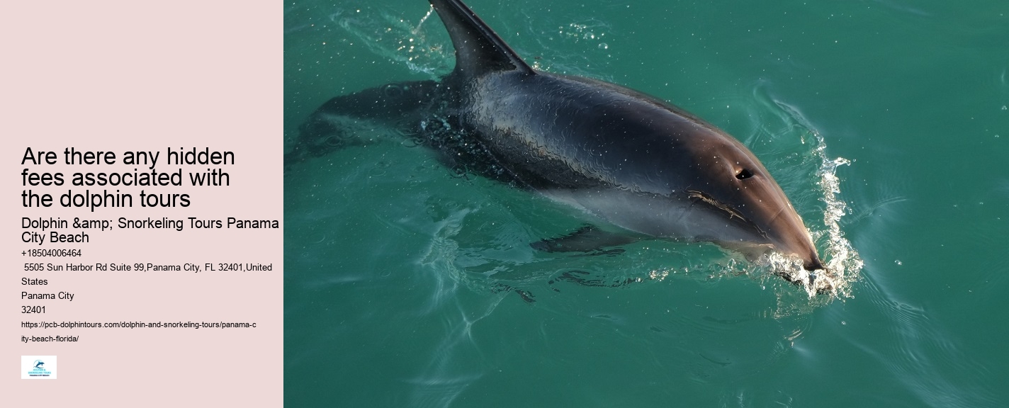 Sea Screamer Panama