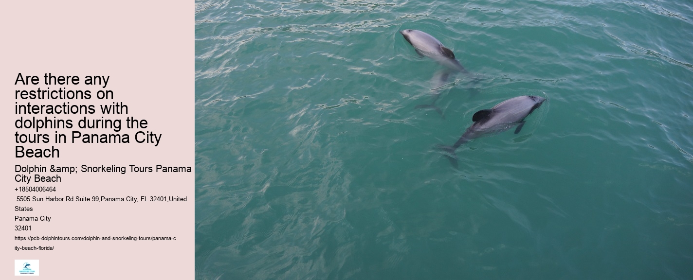 Sea Screamer Dolphin Tours Panama City Beach