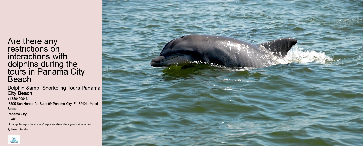 Dolphin Exploration Tours PCB
