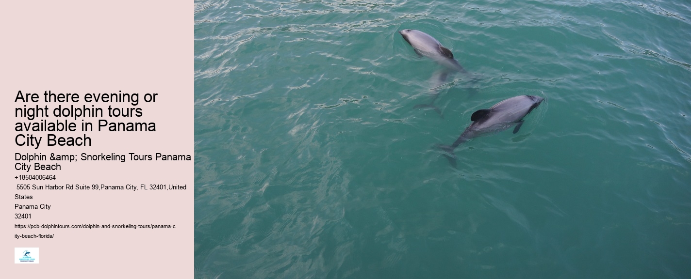Panama City Beach dolphin viewing tours