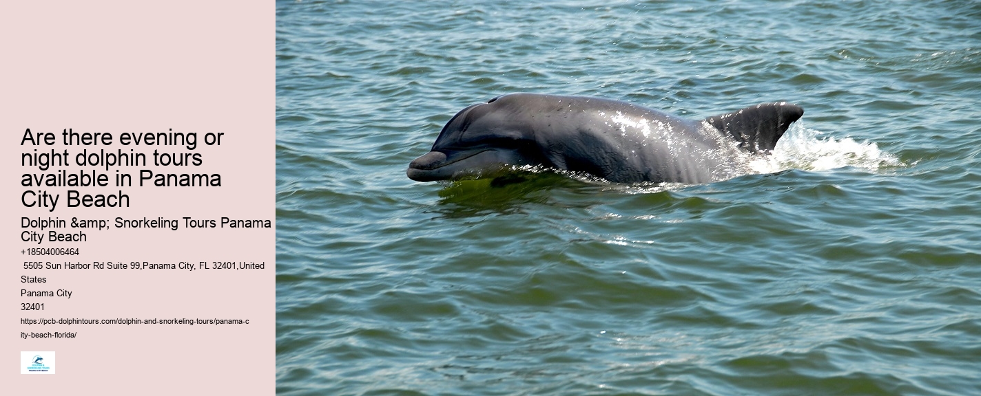 Panama City Beach dolphin exploration tours
