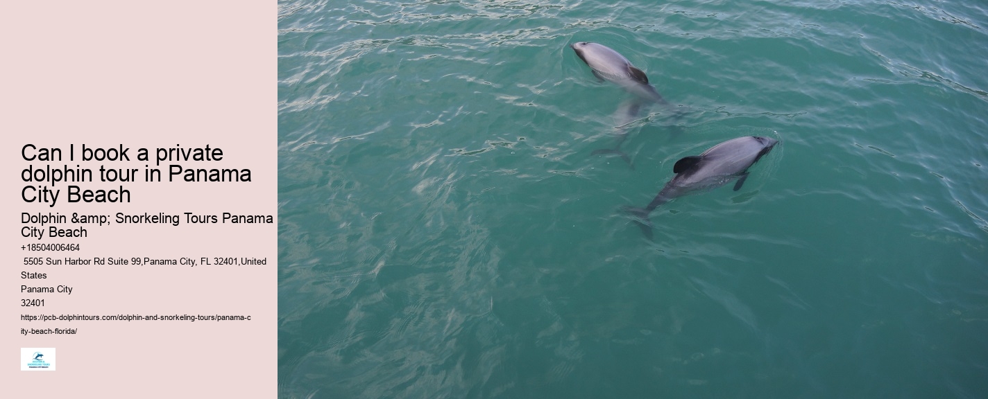Dolphin watching trips at Panama City Beach
