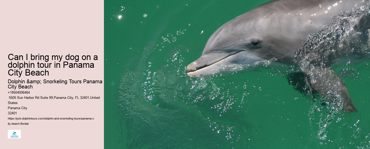 Best Sunset Dolphin Cruise Panama City Beach