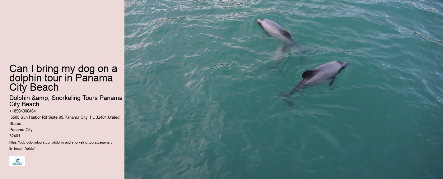 PCB Dolphin Exploration Voyages