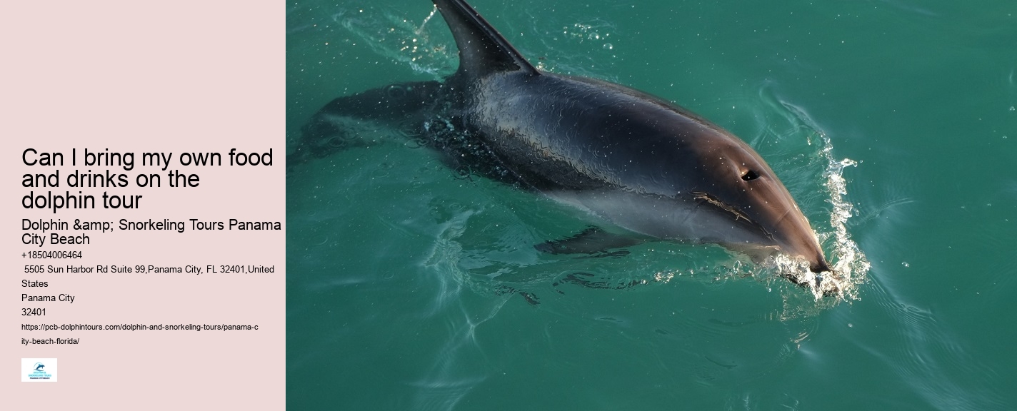 City Beach Dolphin Tours