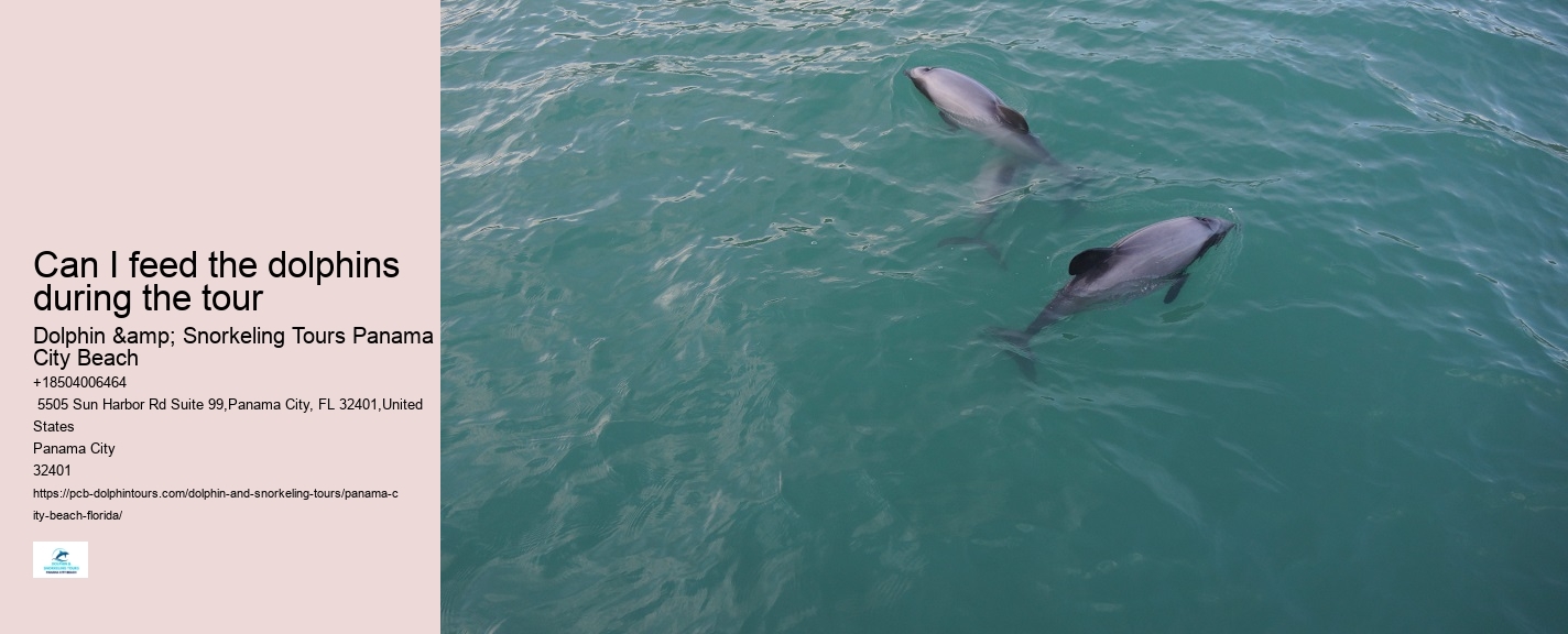 How Deep Is The Water When You Swim With Dolphins
