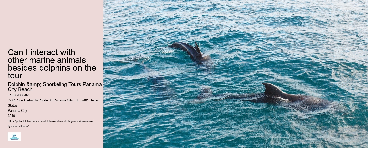 What type of dolphin species might we encounter on the tour