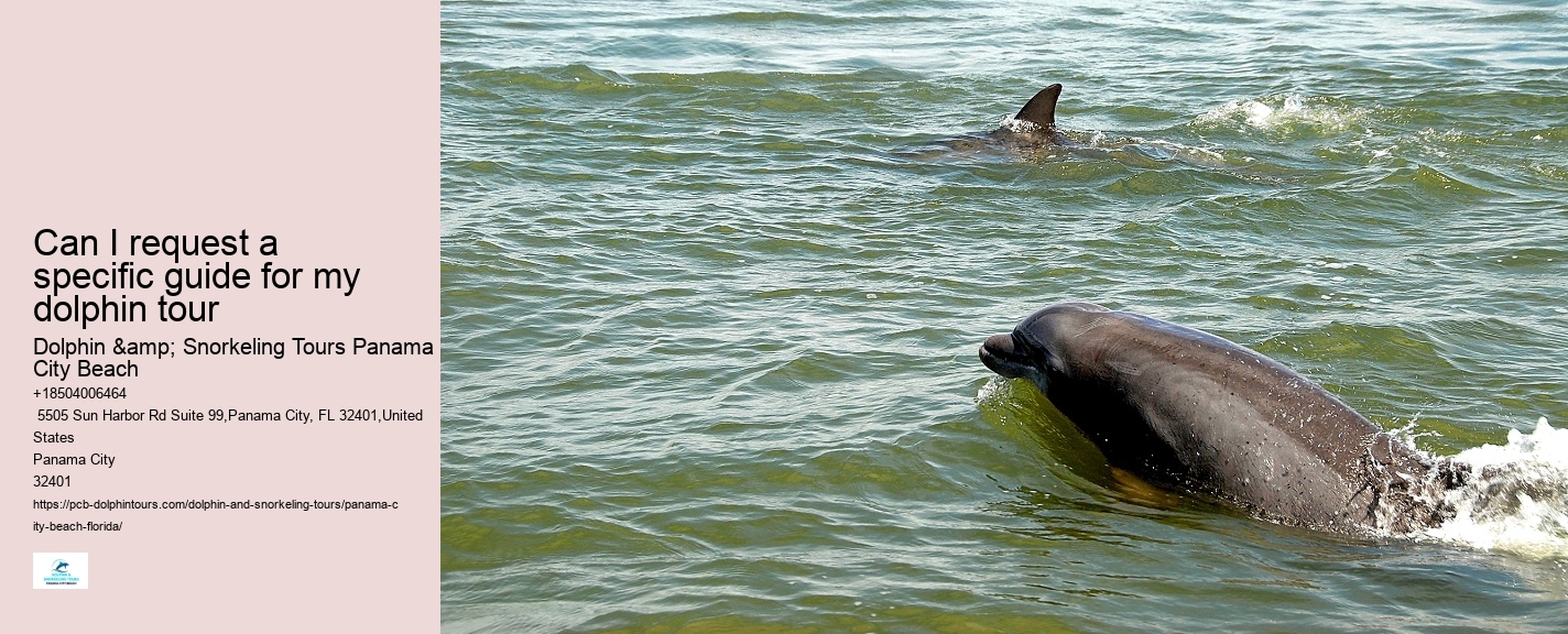 Dolphin Sightseeing