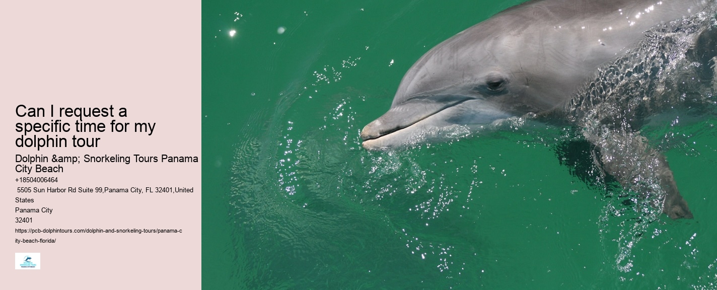How Much Does It Cost To Swim With Dolphins In Panama City