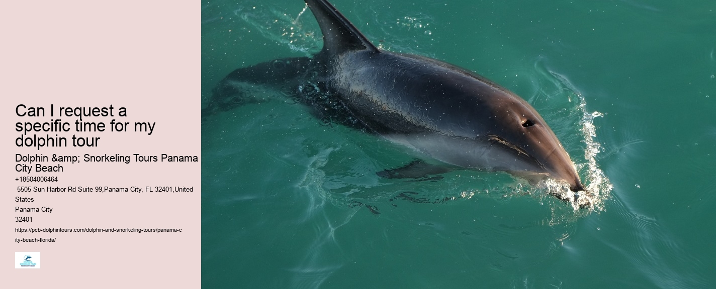 Are there any age restrictions for dolphin tours in Panama City Beach