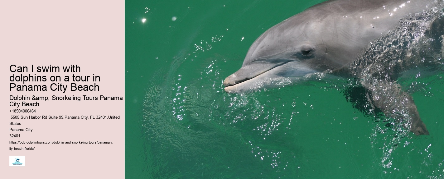 Can I book a private dolphin tour in Panama City Beach