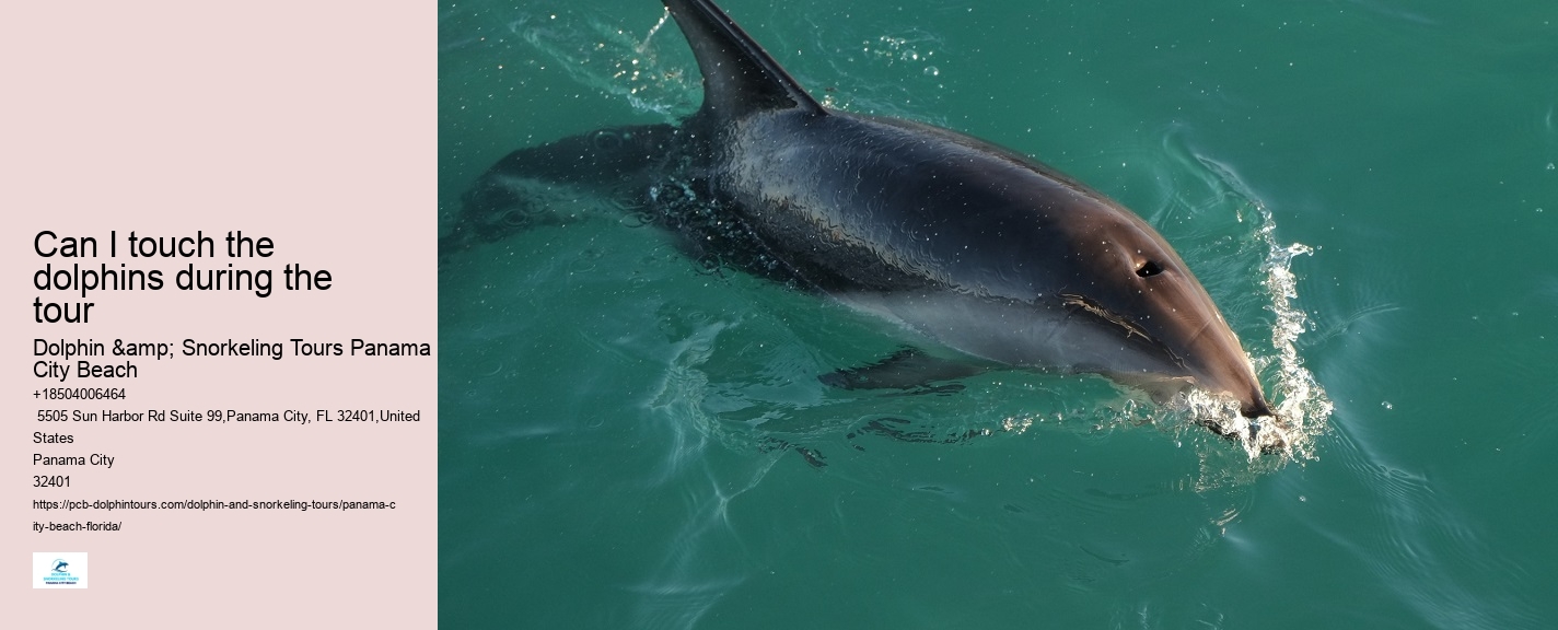 Panama City Beach Dolphin Tours & More Tours