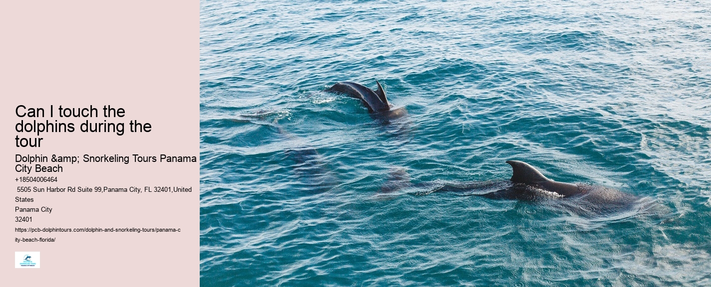 Do I need to bring my own snorkeling gear for a dolphin tour in Panama City Beach