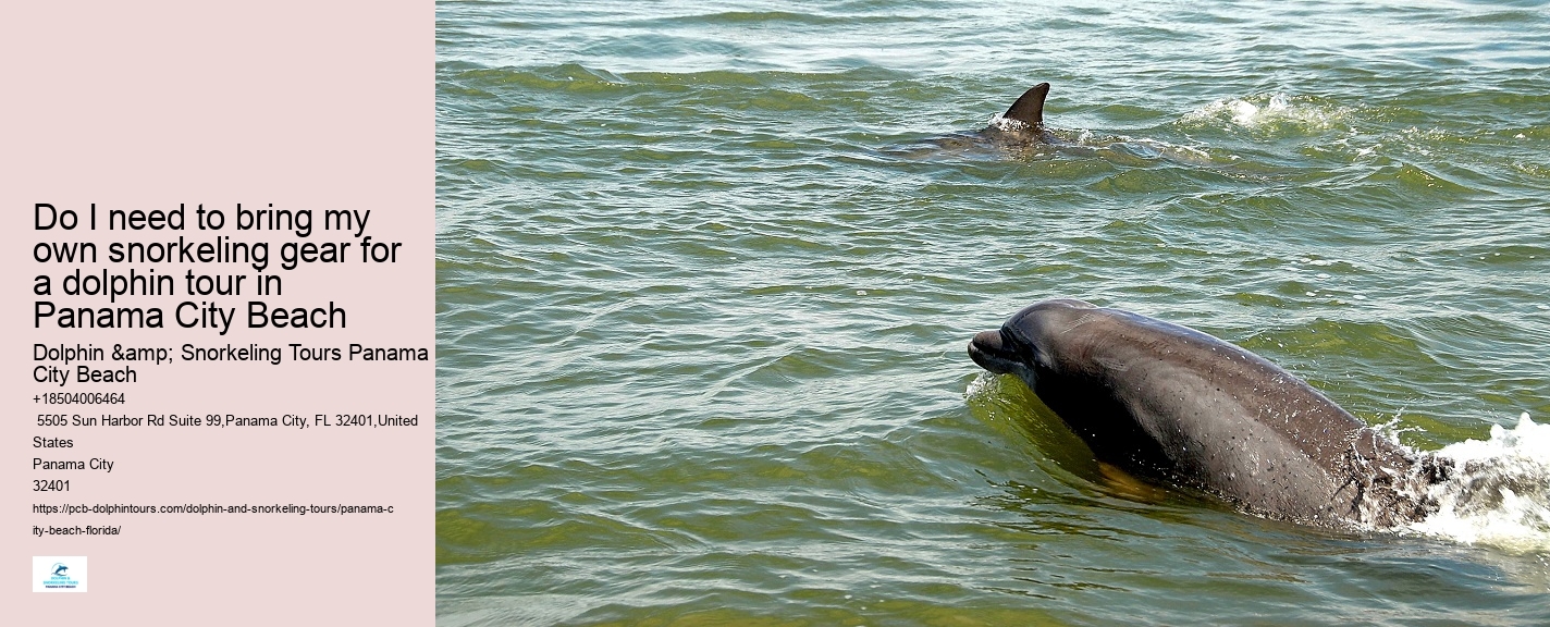 Are dolphin tours in Panama City Beach suitable for children