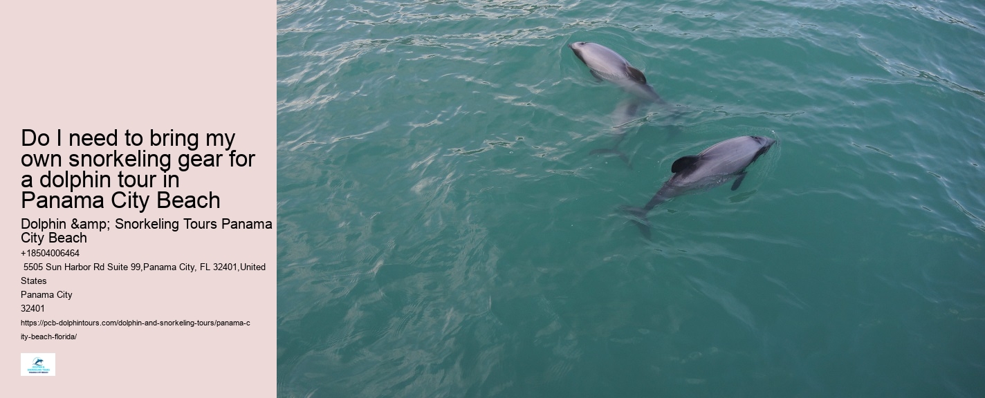 Panama City Beach dolphin boat excursions