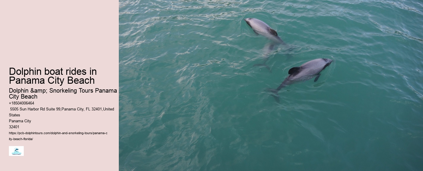 Panama City Beach wildlife tours including dolphins