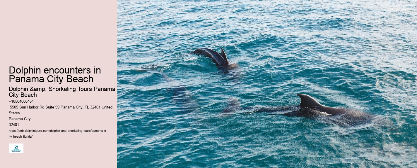 Dolphin Adventure Excursions in PCB