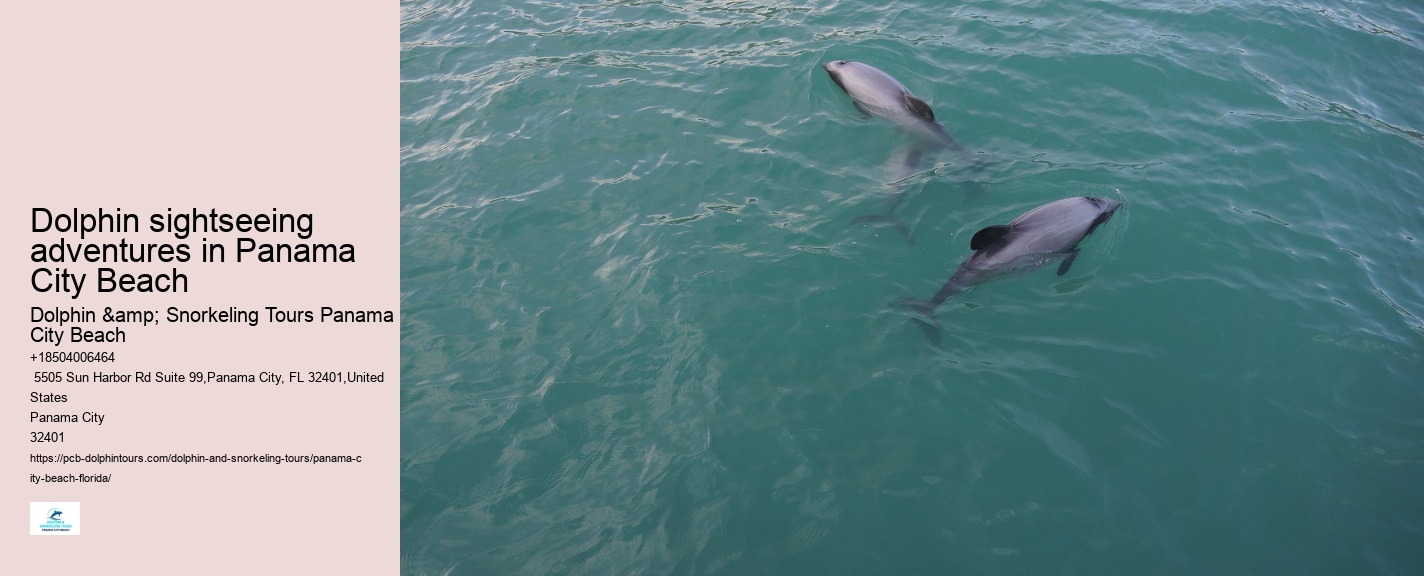 How close do the dolphin boats get to the dolphins in Panama City Beach