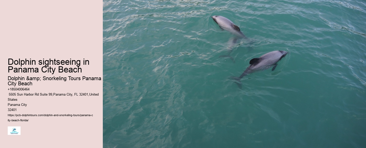 What To Know Before Swimming With Dolphins
