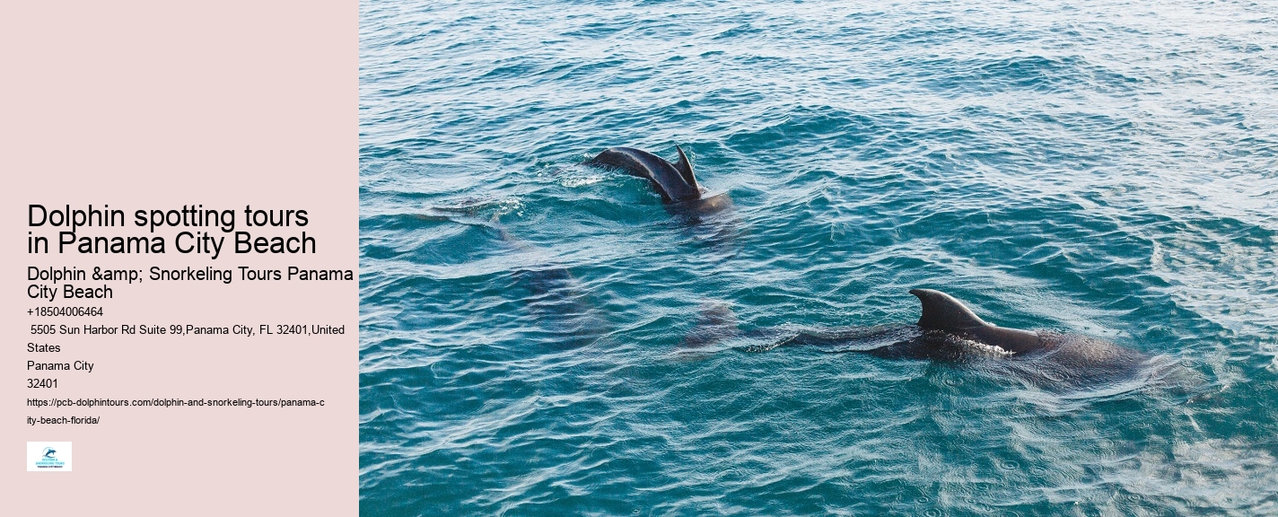 Can I take photos during the dolphin tour in Panama City Beach