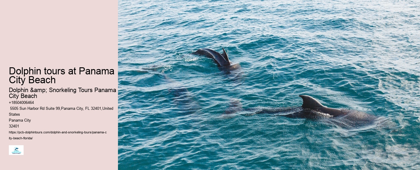 Where Can I See Dolphins In Panama
