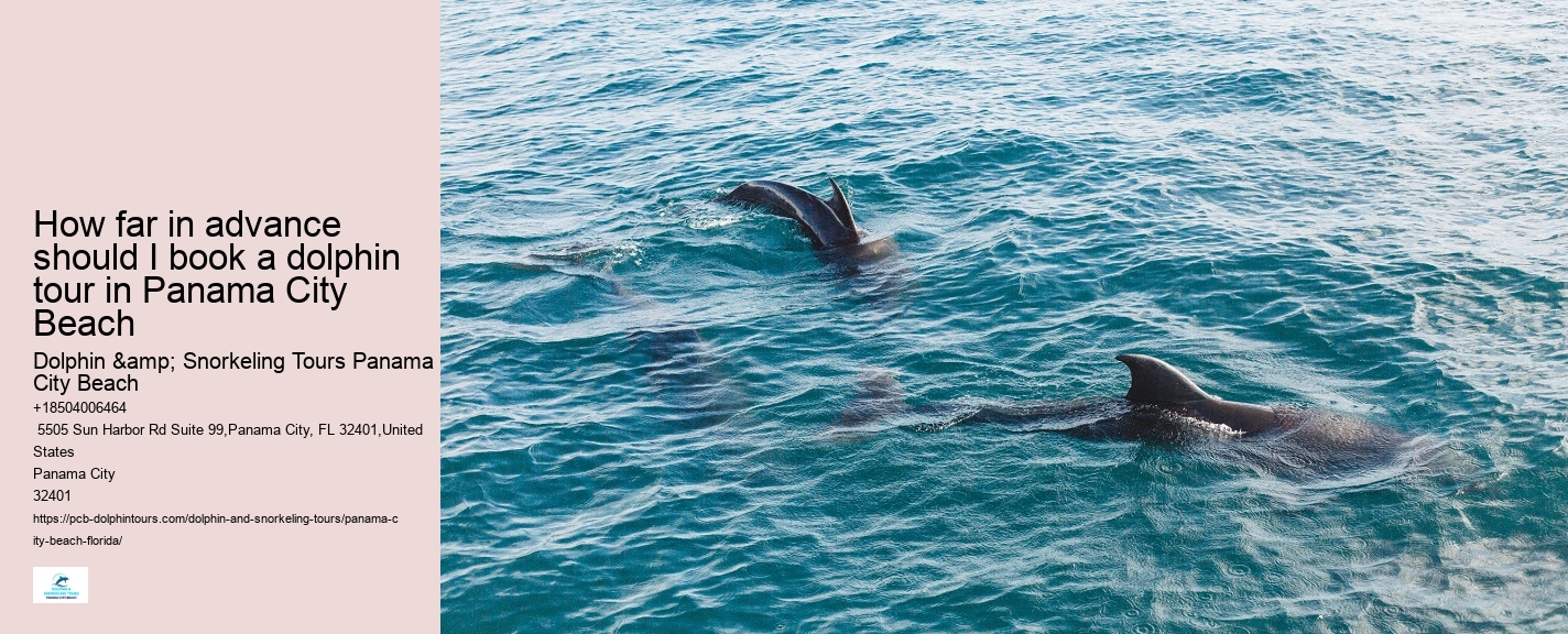 What To Know Before Swimming With Dolphins