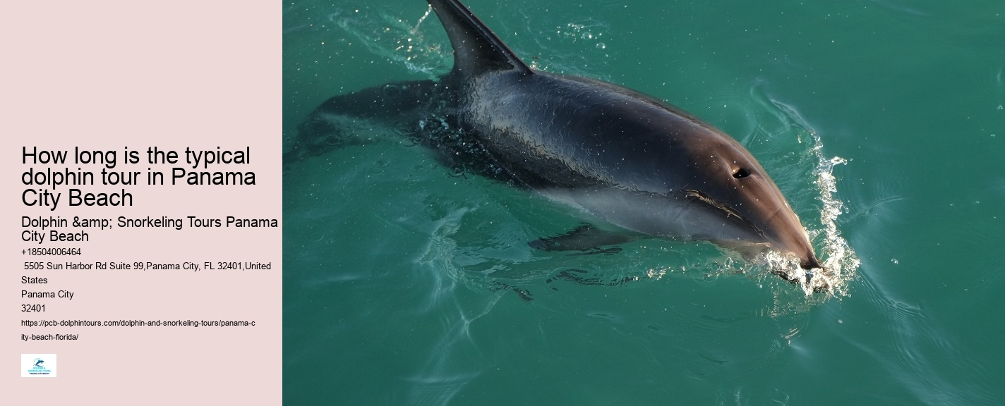 Is swimming with dolphins an additional cost on the tour