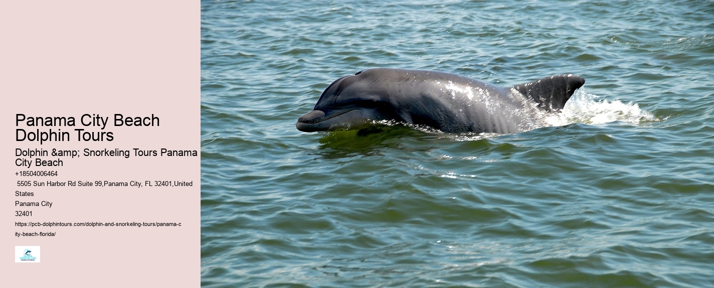 Can I request a specific time for my dolphin tour