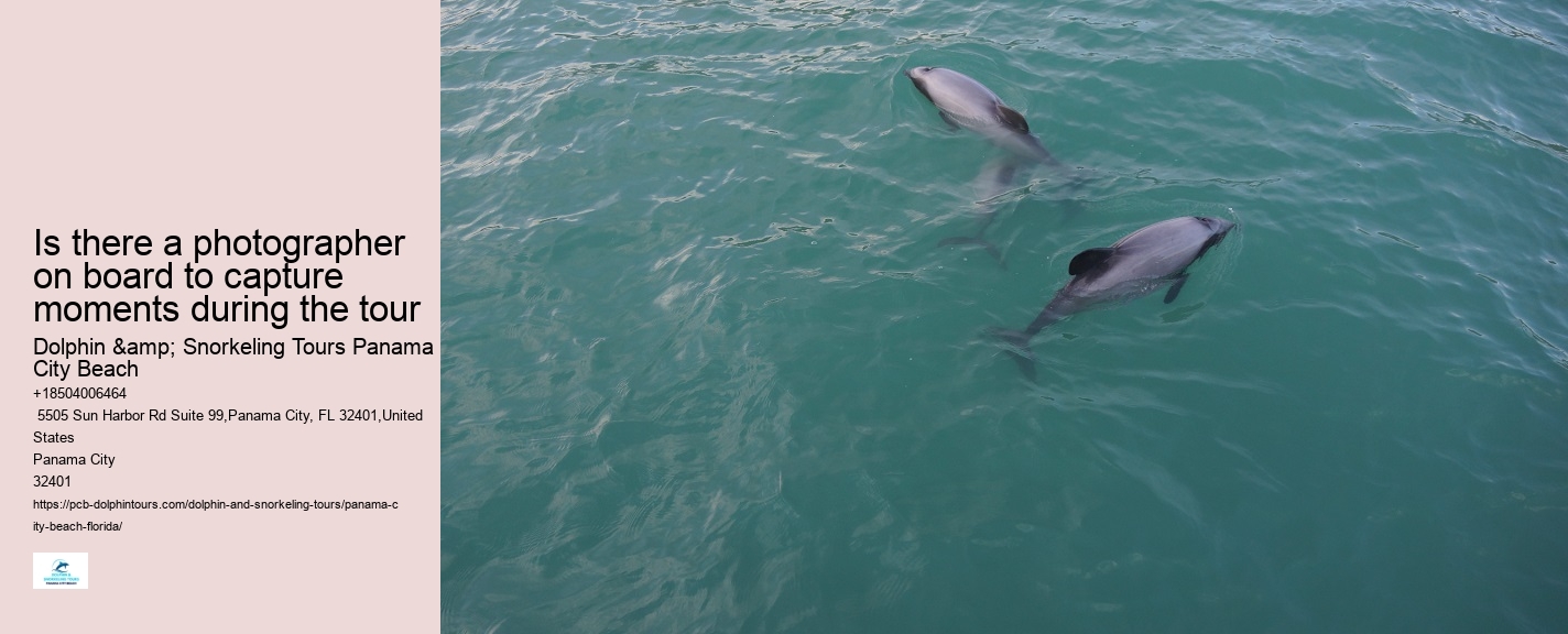 Can I interact with other marine animals besides dolphins on the tour