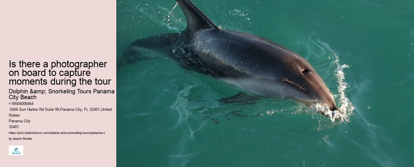Panama City Beach dolphin spotting cruises