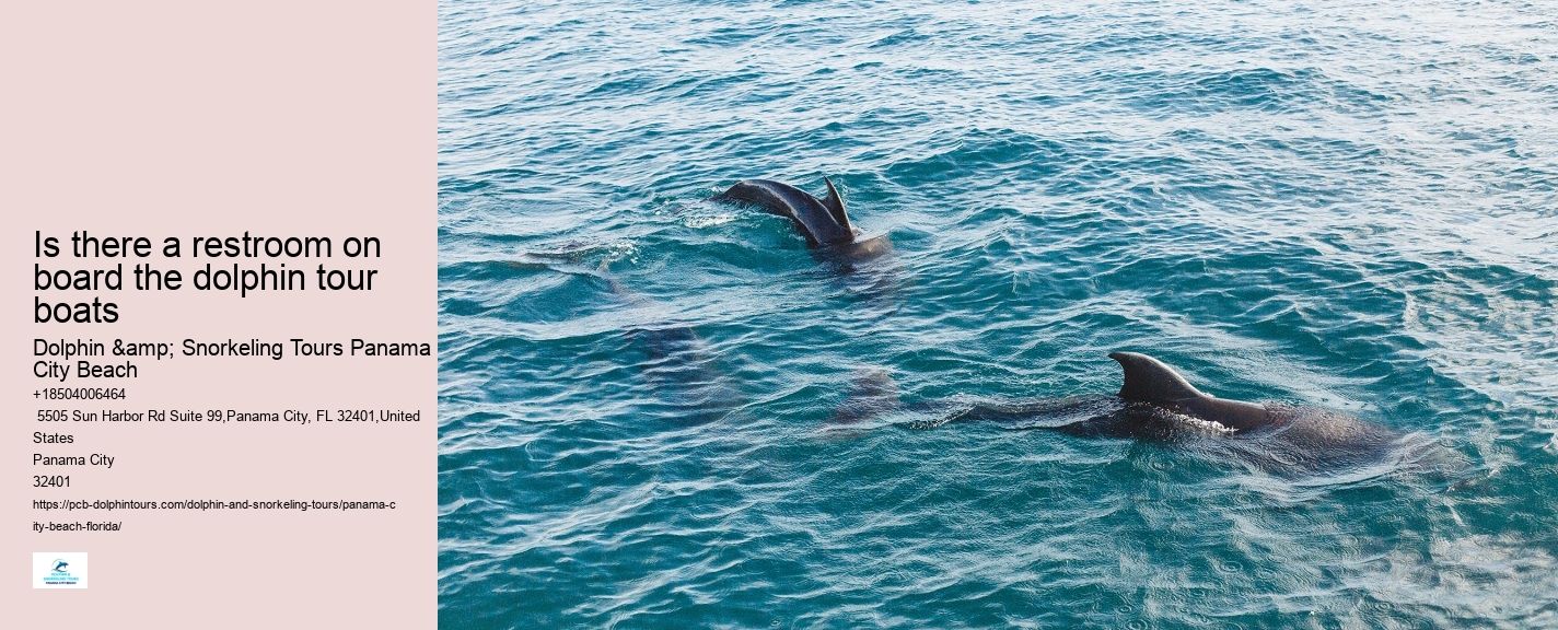 Dolphin Tours Panama City Beach Fl