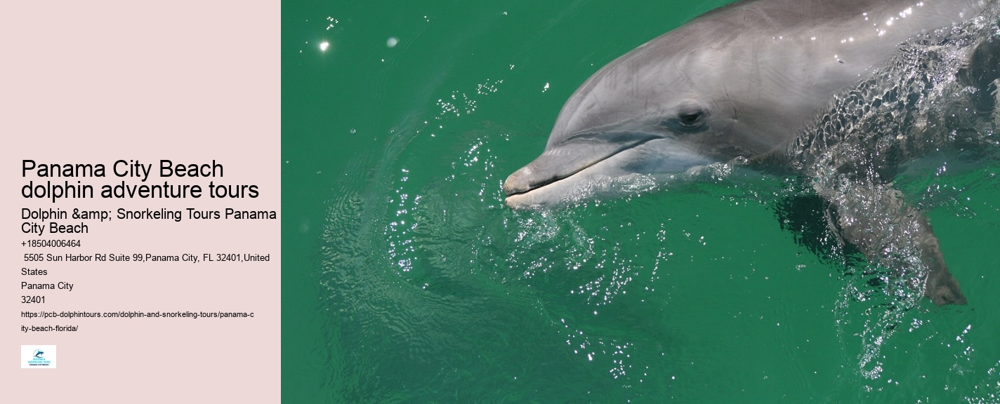 How Deep Is The Water When You Swim With Dolphins