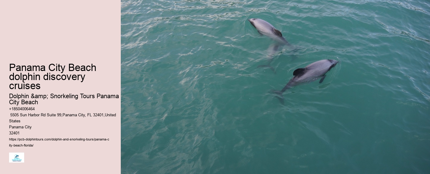 Best Dolphin Cruise Panama City Beach