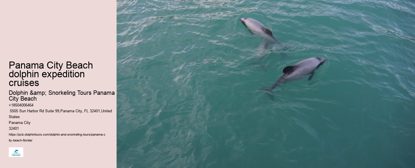 What Time Of Day Are Dolphins Most Active