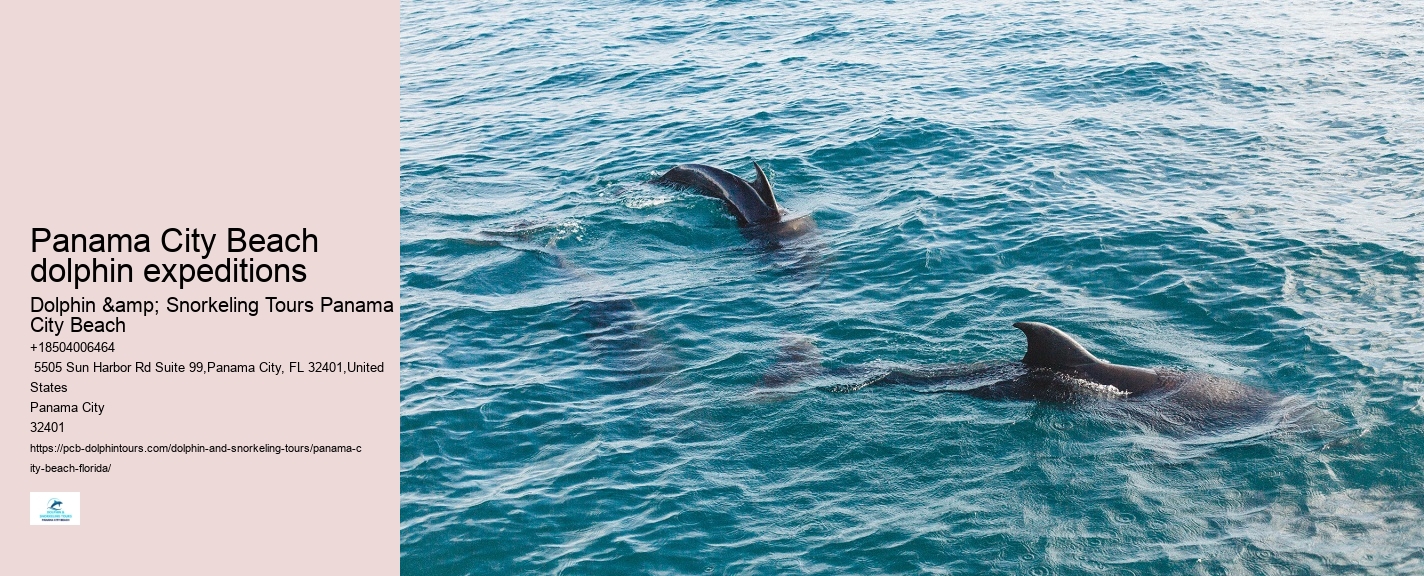 Beach Dolphin