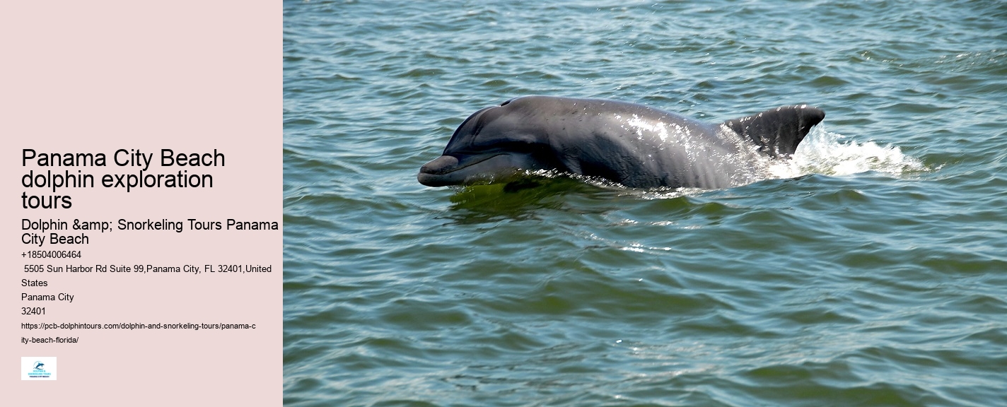Panama City Beach Dolphin