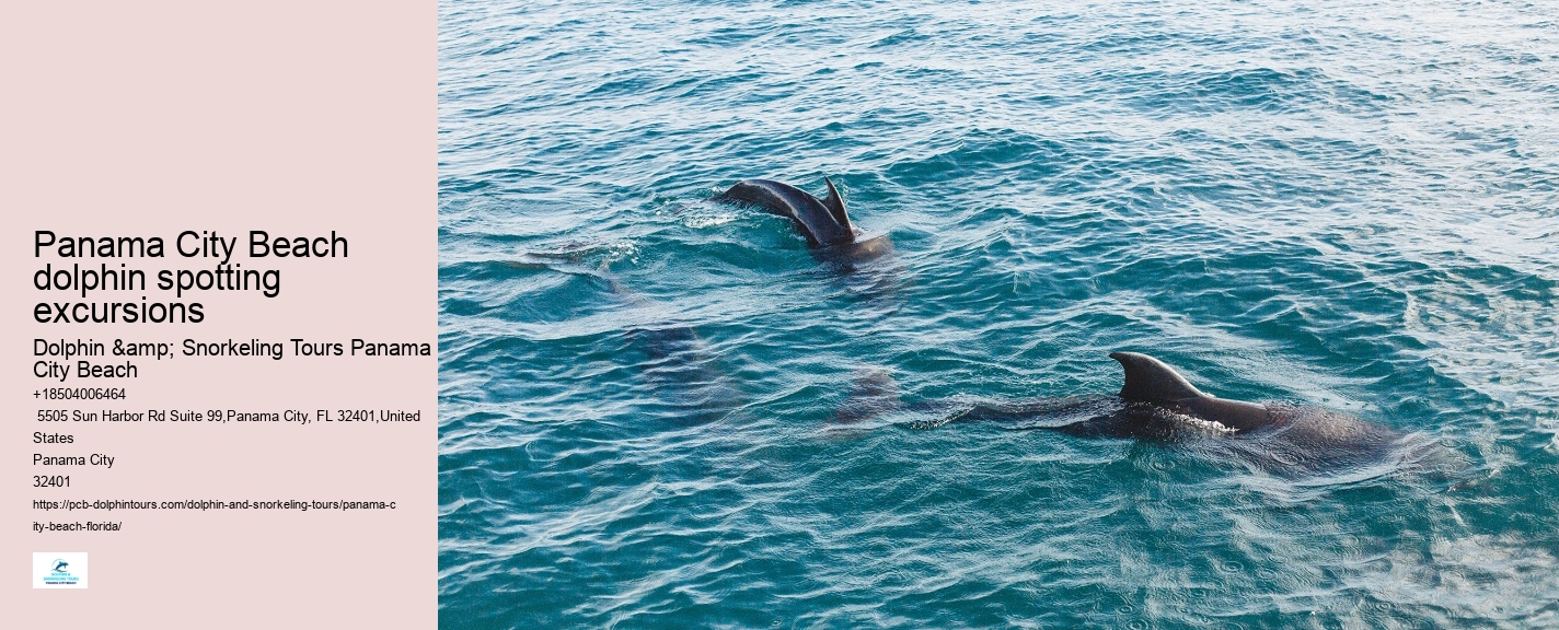 Dolphin Cruises