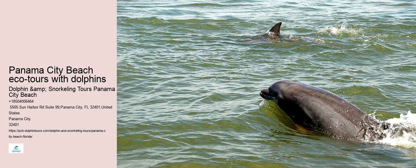 Are Panama City Beach dolphin tours environmentally friendly