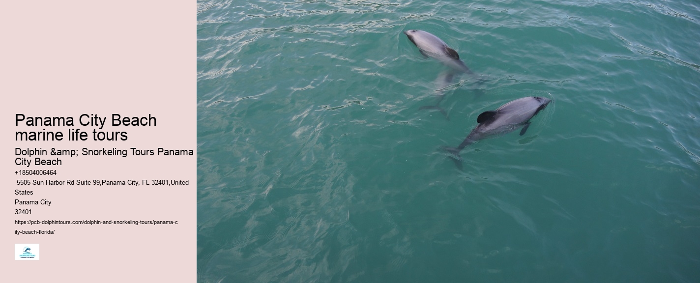 Panama City Beach Dolphin Tours & More